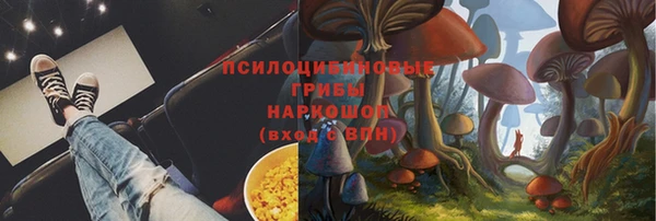 PSILOCYBIN Баксан