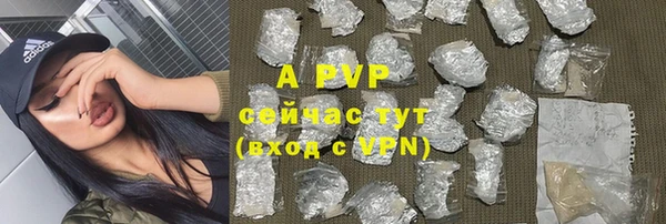 PSILOCYBIN Баксан
